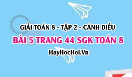 Bài 5 trang 44 Toán 8 Tập 2 Cánh Diều